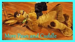 More Paws and Cuddle at Eurofurence Fursuiter, Furrys and Furs