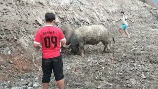 tưởng không hay mà hay không tưởng