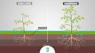 Cavitazione idrosonica per uso irriguo