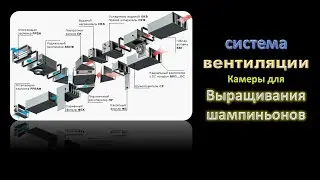🌿 Система вентиляции камеры для выращивания грибов шампиньона 
