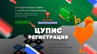 Как пройти регистрацию и идентификацию в ЦУПИС