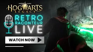 Hogwarts Legacy Combat Breakdown