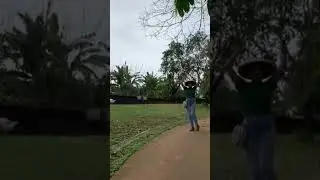 just like ala ala #zoo #animals #duck #swan #tiktok #fyp #shorts #trendingshorts #indonesia #germany