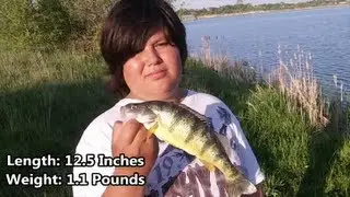 Gage's Big Perch