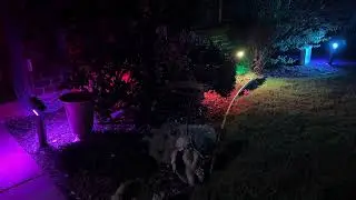 Lumary Smart Pathway Lights