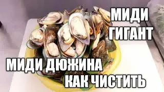 МИДИ ГИГАНТ::МИДИ ДЮЖИНА КАК ЧИСТИТЬ