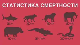 13 советов помогут выжить в дикой природе