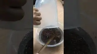 Making a Resin Bowl Using Real MONEY! 