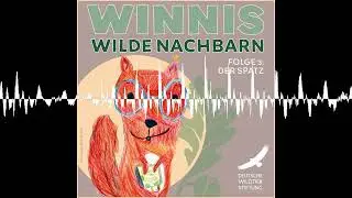 Staffel 1 / Folge 3 Der Spatz: Trubel in der Hecke, Unordnung im Nest und dicke Luft im Baumhaus