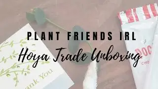 Plant Friends IRL! Hoya Trade Unboxing