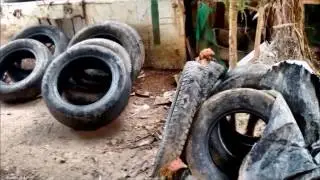 Guerreando contra o Aedes - EE General Carneiro
