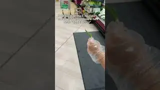 Questo è l'hack della vita signore e signori 🎩