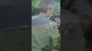 Зумруд Мусиева  