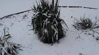 Грозный опять  зима настоящая  .прогулка по парку.