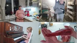 ПОХОЖЕ У НАС БУДЕТ ДВОЙНЯ???🤗🎄🌨️🐄🐓🥧