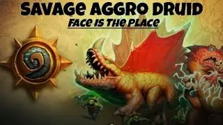 Druid Aggro Savage Face Is The Place