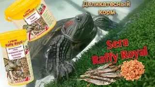 Sera Raffi Royal витаминный деликатесный корм от германской фирмы. Рыба + креветки