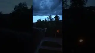 Начался ураган! 😲 Бусе все равно! 😅