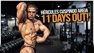 CRUZ ARRANCANDO A ALMA DO HÉRCULES NA RETA FINAL!! | *estreia nos palcos*