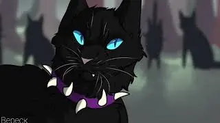 ~Коты-Воители, Огнезвезд и Бич •Господь гнев •~