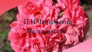 П.И.Чайковский. Вальс цветов из балета "Щелкунчик".