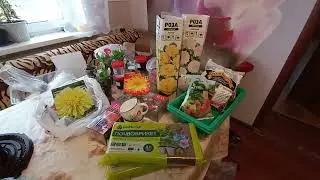 ПОКУПКИ И ПОДАРКИ ОТ МАРИНЫ КАНАЛ (СУРСКИЕ ЗОРИ)