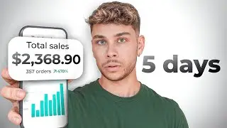 I Built A Dropshipping Store In 14 Days To Prove It's Not Luck