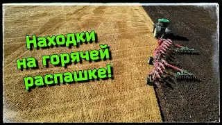 Коп и находки на свежей распашке! Именно за ними я и пришёл на это поле! Влад TV.