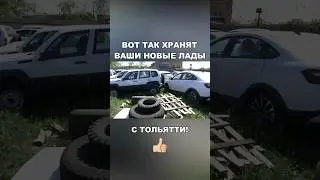 ВОТ ТАК ХРАНЯТ НОВЫЕ ЛАДЫ С ТОЛЬЯТТИ.#ваз #shortvideo #tiktok #shots #short #shortsfeed #lada
