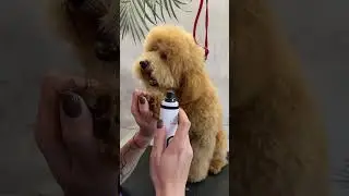 Ожидание страшнее самого процесса 🤣 