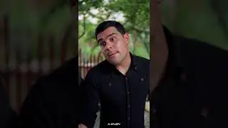 Toylyşka Likir vine (gulki) 2024