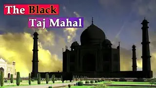 Curse of the Taj Mahal