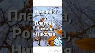 Всероссийский день хоккея❄️♥️