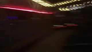 Bumper cars. Busch Gardens Family 