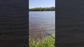 11.05.24 Водохранилище Дягильно, краткий отчёт ) #рыбалка #рыбалкавбеларуси #рекомендации