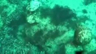 подводный