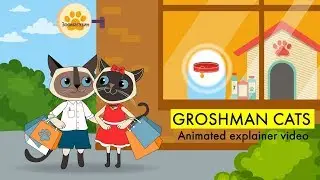 Groshman Explainer Video