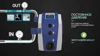 DG PED _RU