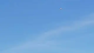 Freewing 80 mm L-39 Flight 60 Soloshot 3