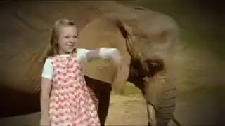 Boogie Beebies   Kangaroo