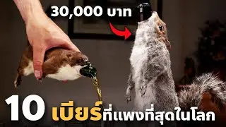 10 เบียร์ที่แพงที่สุดในโลก