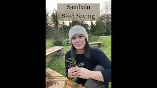 Samhain Seed Saving from the Ivywood Garden
