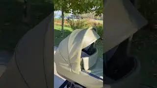 AXISS PREMIUM | Prezentacja | Coletto
