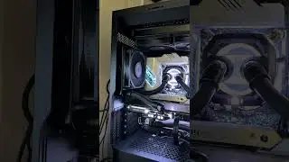 What Noctua Fans I use