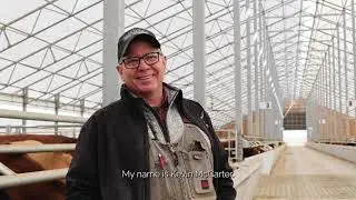 West Coast Cattle Britespan Beef Feedlot Facility Interview: Herd Health