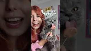 Since it seems to be the brand of lollipop food that cats love very much *ad 