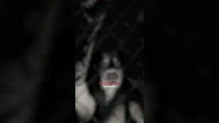 Zweisatz-Horror: Lüge