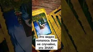 ЭТО ЗНАК!  ВЫ ДОЛЖНЫ ЭТО ЗНАТЬ 🙌🥰🙏#ТАРО #БОЖЕСТВЕННЫЙЭФИР #СЛИЛИТ #БЛАГО #КАНАЛЛЮБВИ #КАРМА