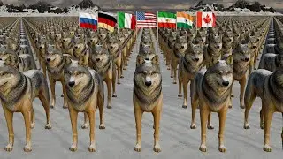Wolf Population by Country 2024
