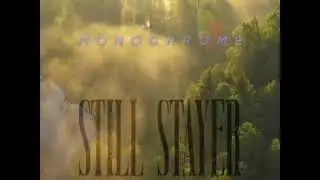 STILL STAYER - MONOCHROME (VISUALIZER)